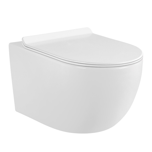 Rimless toilet bowl with a detachable slow-close seat